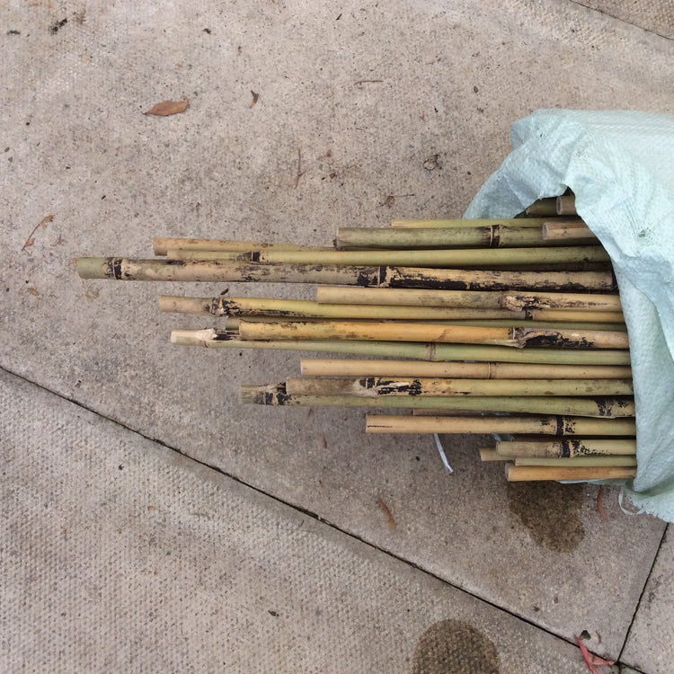 bamboo cane 90 cm x 1000
